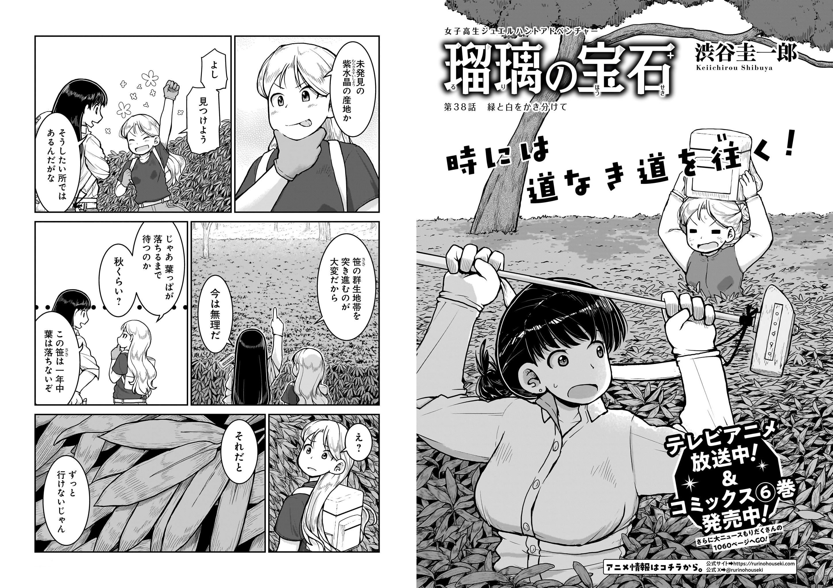 瑠璃の宝石 連載開始号　ハルタ 新連載号 ハルタ」にて連載中の渋谷圭一郎先生による漫画「瑠璃の宝石」の